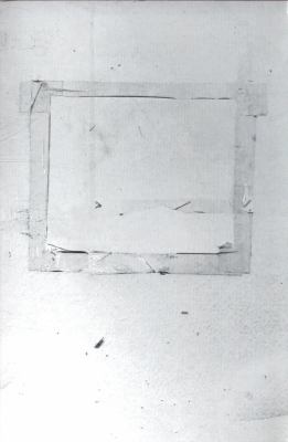 The book cover for "Whitewalling: Art, Race & Protest in 3 Acts" by Aruna D'Souza.